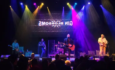 Gin Blossoms