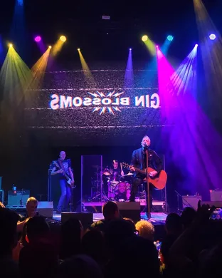 Gin Blossoms