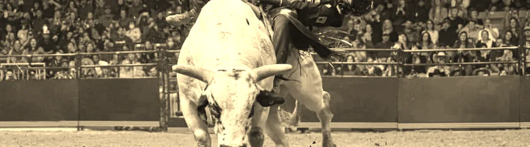 PBR - Unleash The Beast