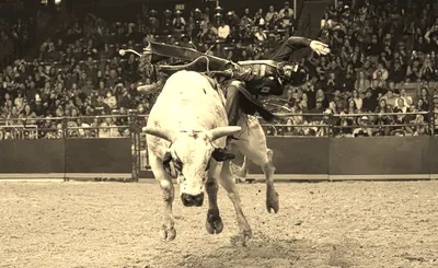 PBR - Unleash The Beast