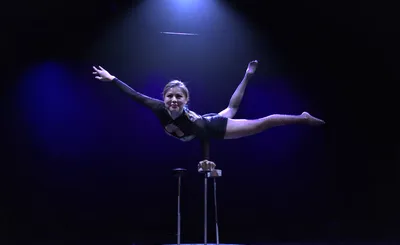 The Peking Acrobats