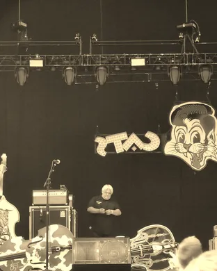 Stray Cats