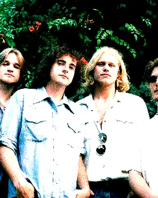 The Stews